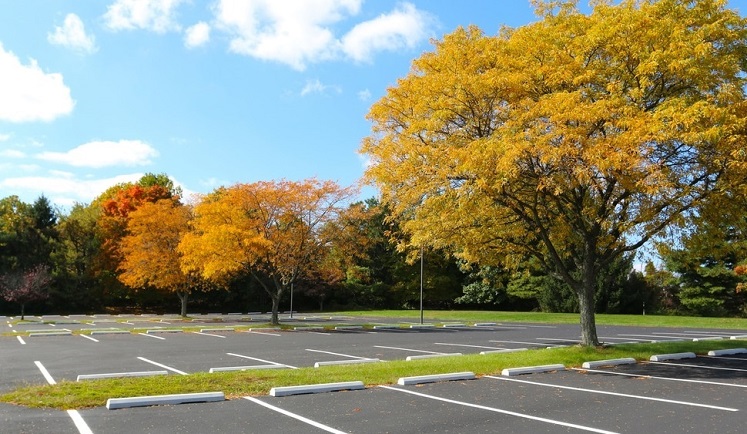CAR PARKING SALVA POSTO AUTO